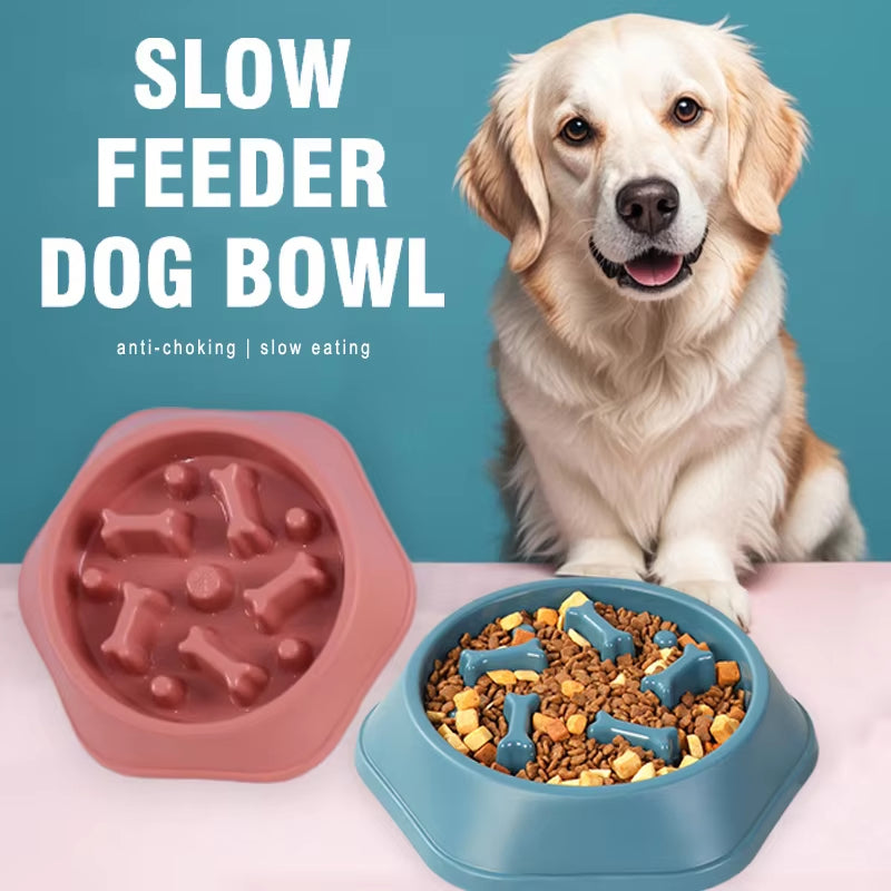 Anti-Gulping Slow Feeder Dog Bowl