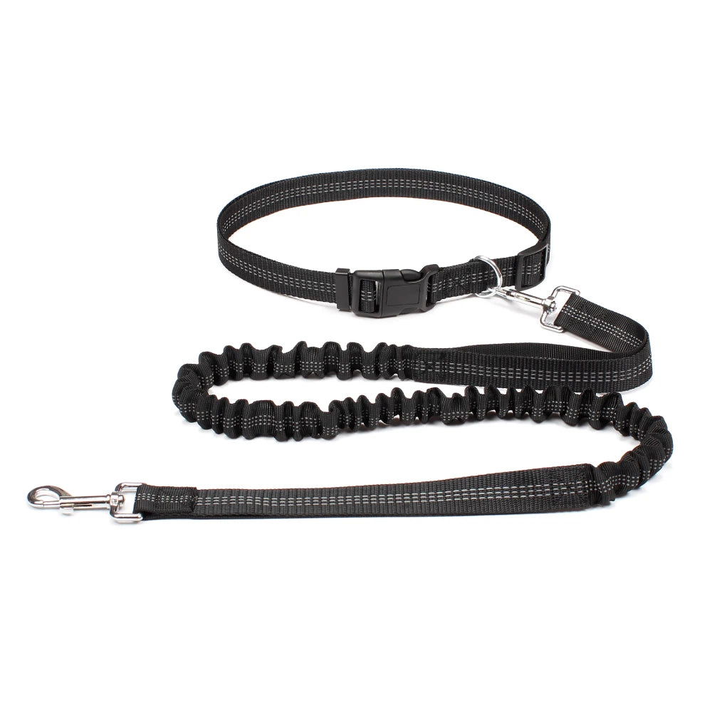 Reflective Hands-Free Bungee Dog Leash